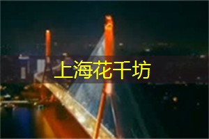 解读上海职业运动员的生活