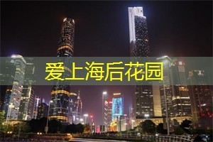 上海的动漫咖啡馆：沉浸在二次元世界
